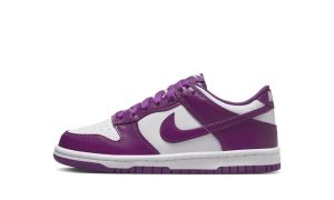 Nike Dunk Low Viotech (GS)