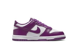 Nike Dunk Low Viotech (GS)