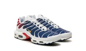 Nike Air Max Plus PSG