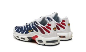 Nike Air Max Plus PSG