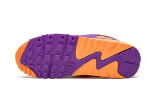 Nike Air Max 90 Viotech OG