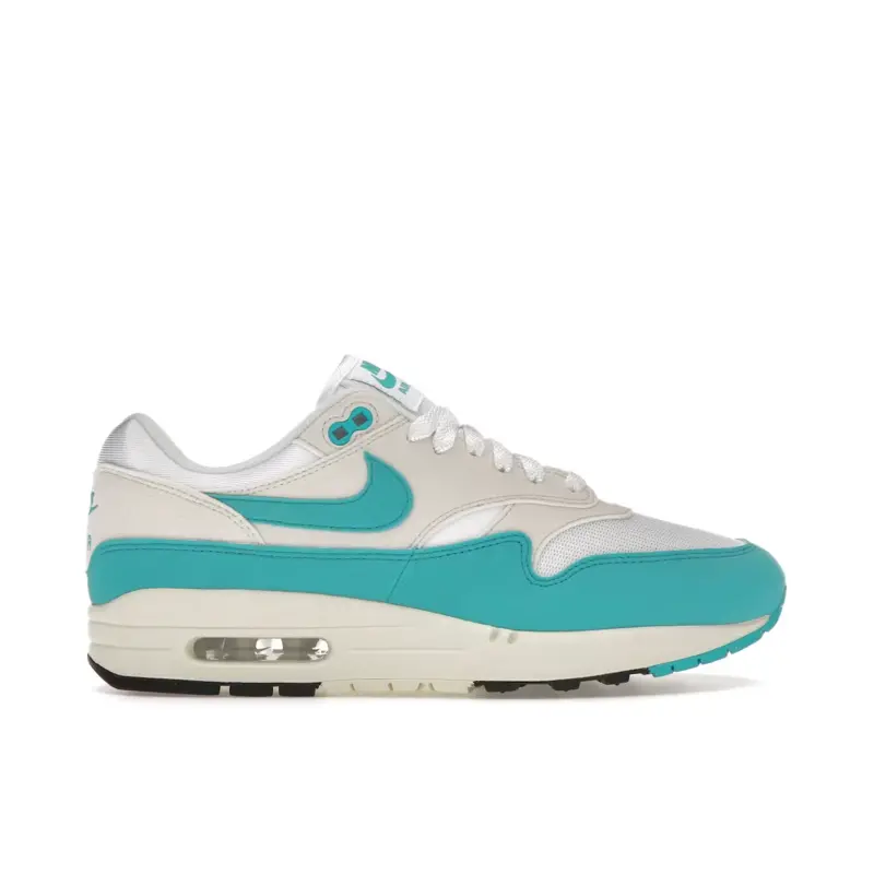 Nike Air Max 1 Dusty Cactus (W)