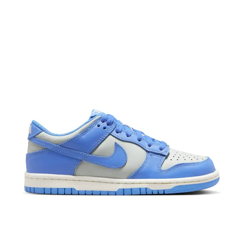 Nike Dunk Low Light Silver Sail Light Photo Blue (GS)