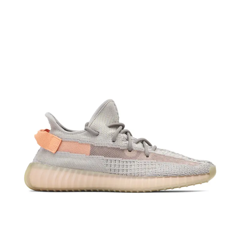 Adidas Yeezy Boost 350 V2 True Form